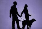 Logo Hundepension Ptock